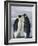 Emperor Penguins (Aptenodytes Forsteri) and Chick, Snow Hill Island, Weddell Sea, Antarctica-Thorsten Milse-Framed Photographic Print