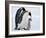 Emperor Penguins (Aptenodytes Forsteri) and Chick, Snow Hill Island, Weddell Sea, Antarctica-Thorsten Milse-Framed Photographic Print