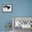 Emperor Penguins (Aptenodytes Forsteri), Snow Hill Island, Weddell Sea, Antarctica, Polar Regions-Thorsten Milse-Framed Photographic Print displayed on a wall