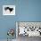 Emperor Penguins (Aptenodytes Forsteri), Snow Hill Island, Weddell Sea, Antarctica, Polar Regions-Thorsten Milse-Framed Photographic Print displayed on a wall