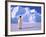 Emperor Penguins, Cape Darnley, Australian Antarctic Territory, Antarctica-Pete Oxford-Framed Photographic Print