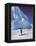 Emperor Penguins, Cape Darnley, Australian Antarctic Territory, Antarctica-Pete Oxford-Framed Premier Image Canvas