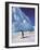 Emperor Penguins, Cape Darnley, Australian Antarctic Territory, Antarctica-Pete Oxford-Framed Photographic Print