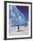 Emperor Penguins, Cape Darnley, Australian Antarctic Territory, Antarctica-Pete Oxford-Framed Photographic Print