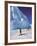 Emperor Penguins, Cape Darnley, Australian Antarctic Territory, Antarctica-Pete Oxford-Framed Photographic Print