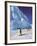 Emperor Penguins, Cape Darnley, Australian Antarctic Territory, Antarctica-Pete Oxford-Framed Photographic Print