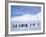 Emperor Penguins, Cape Darnley, Australian Antarctic Territory, Antarctica-Pete Oxford-Framed Photographic Print