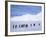 Emperor Penguins, Cape Darnley, Australian Antarctic Territory, Antarctica-Pete Oxford-Framed Photographic Print