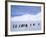 Emperor Penguins, Cape Darnley, Australian Antarctic Territory, Antarctica-Pete Oxford-Framed Photographic Print