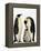 Emperor Penguins Feeding Chick-John Conrad-Framed Premier Image Canvas