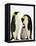 Emperor Penguins Feeding Chick-John Conrad-Framed Premier Image Canvas