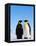 Emperor Penguins Greeting-John Conrad-Framed Premier Image Canvas