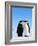 Emperor Penguins Greeting-John Conrad-Framed Photographic Print