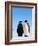 Emperor Penguins Greeting-John Conrad-Framed Photographic Print