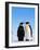 Emperor Penguins Greeting-John Conrad-Framed Photographic Print