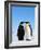 Emperor Penguins Greeting-John Conrad-Framed Photographic Print