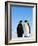 Emperor Penguins Greeting-John Conrad-Framed Photographic Print