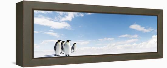 Emperor Penguins In Antarctica-Jan Martin Will-Framed Premier Image Canvas