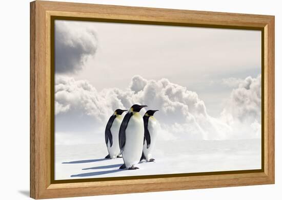 Emperor Penguins In Antarctica-Jan Martin Will-Framed Premier Image Canvas