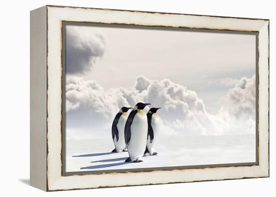 Emperor Penguins In Antarctica-Jan Martin Will-Framed Premier Image Canvas
