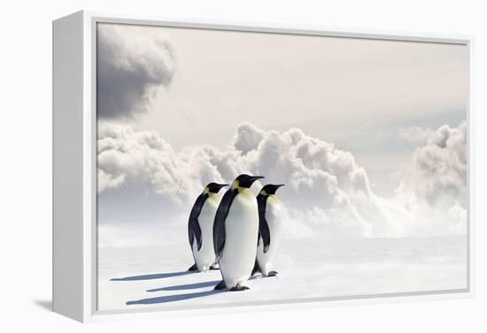 Emperor Penguins In Antarctica-Jan Martin Will-Framed Premier Image Canvas