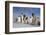 Emperor Penguins in Antarctica-null-Framed Photographic Print