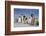 Emperor Penguins in Antarctica-null-Framed Photographic Print