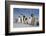 Emperor Penguins in Antarctica-null-Framed Photographic Print