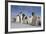 Emperor Penguins in Antarctica-null-Framed Photographic Print