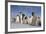 Emperor Penguins in Antarctica-null-Framed Photographic Print