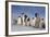 Emperor Penguins in Antarctica-null-Framed Photographic Print