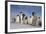 Emperor Penguins in Antarctica-null-Framed Photographic Print