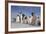 Emperor Penguins in Antarctica-null-Framed Photographic Print