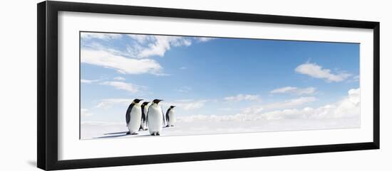 Emperor Penguins In Antarctica-Jan Martin Will-Framed Photographic Print