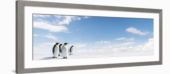 Emperor Penguins In Antarctica-Jan Martin Will-Framed Photographic Print