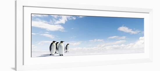 Emperor Penguins In Antarctica-Jan Martin Will-Framed Photographic Print