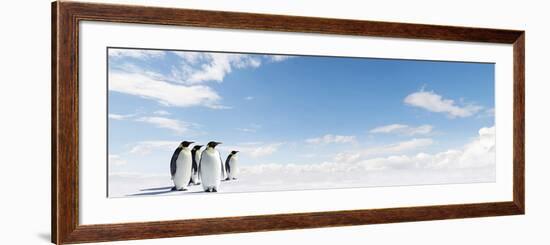 Emperor Penguins In Antarctica-Jan Martin Will-Framed Photographic Print