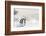 Emperor Penguins In Antarctica-Jan Martin Will-Framed Photographic Print