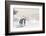 Emperor Penguins In Antarctica-Jan Martin Will-Framed Photographic Print