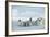 Emperor Penguins on Ice-DLILLC-Framed Photographic Print