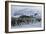 Emperor Penguins-Doug Allan-Framed Photographic Print