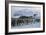 Emperor Penguins-Doug Allan-Framed Photographic Print