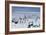 Emperor Penguins-Doug Allan-Framed Photographic Print