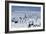 Emperor Penguins-Doug Allan-Framed Photographic Print