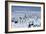 Emperor Penguins-Doug Allan-Framed Photographic Print