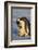 Emperor Penguins-DLILLC-Framed Photographic Print