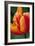 Emperor Tulip II-Dana Styber-Framed Photographic Print