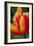 Emperor Tulip II-Dana Styber-Framed Photographic Print