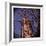 Empire State Building in the Spring, Manhattan, New York City-Sabine Jacobs-Framed Photographic Print