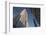 Empire State Building, Manhattan, New York City-Rainer Mirau-Framed Photographic Print